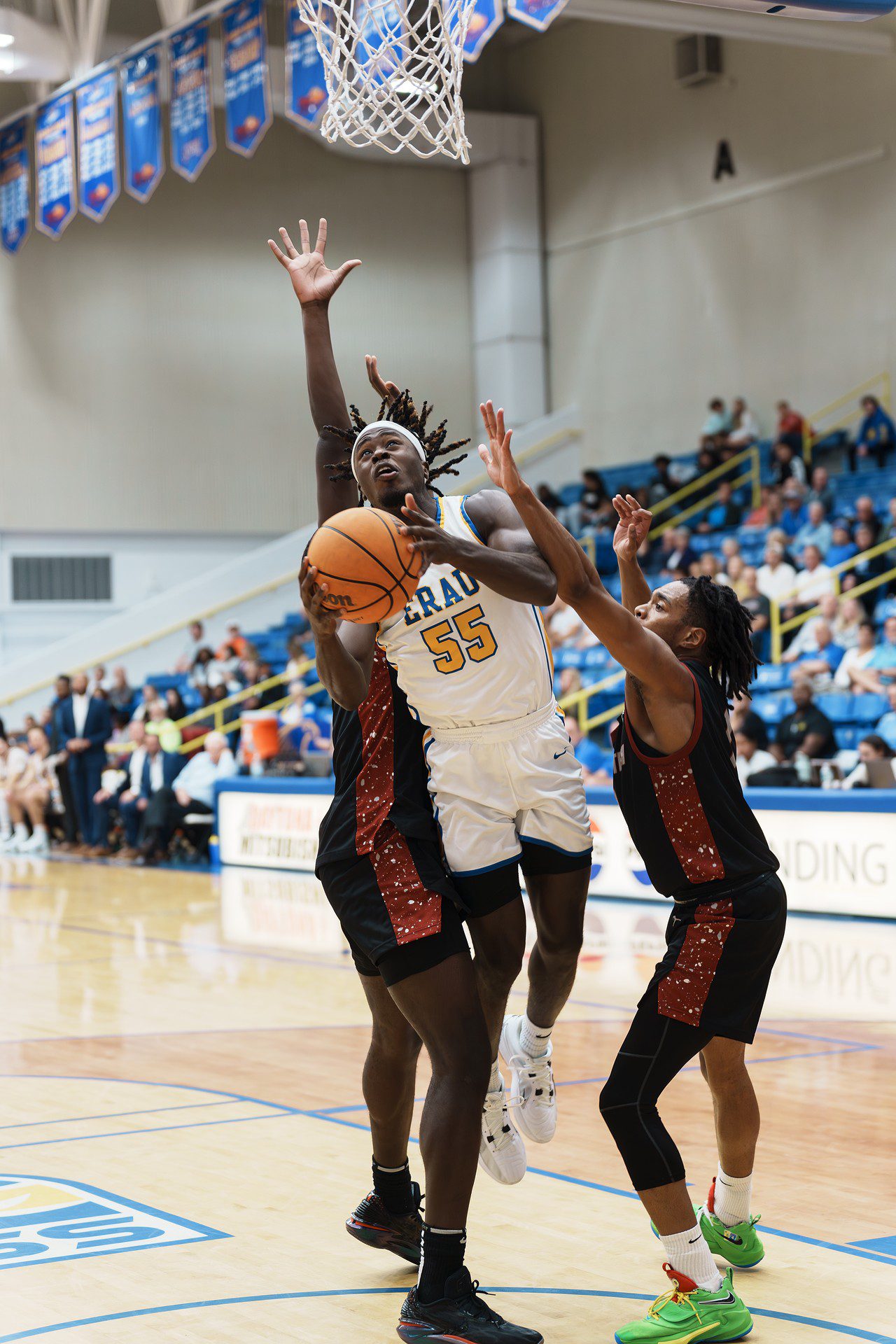 DSC07488-Enhanced-NR.jpg_compressed