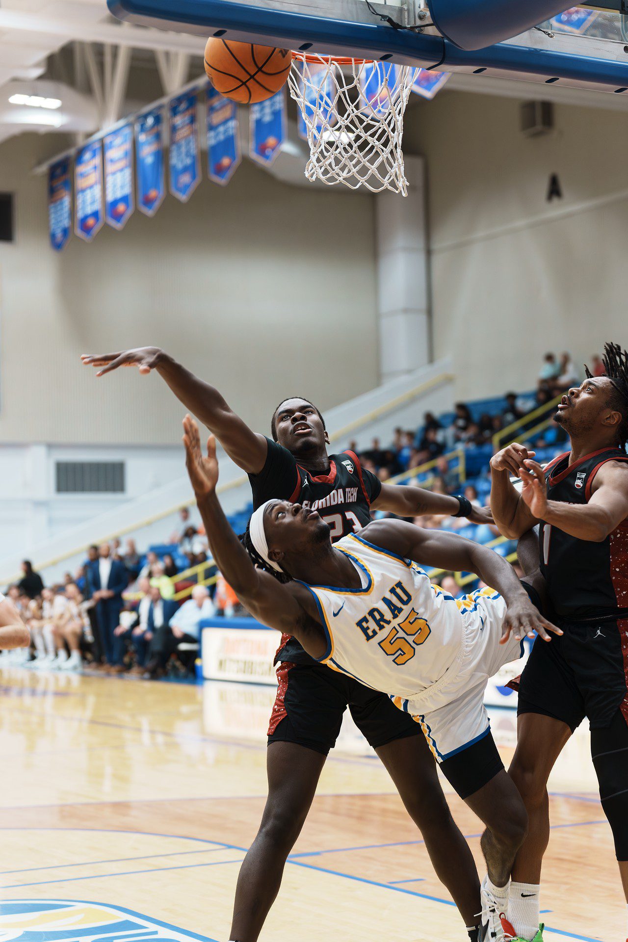 DSC07489-Enhanced-NR.jpg_compressed