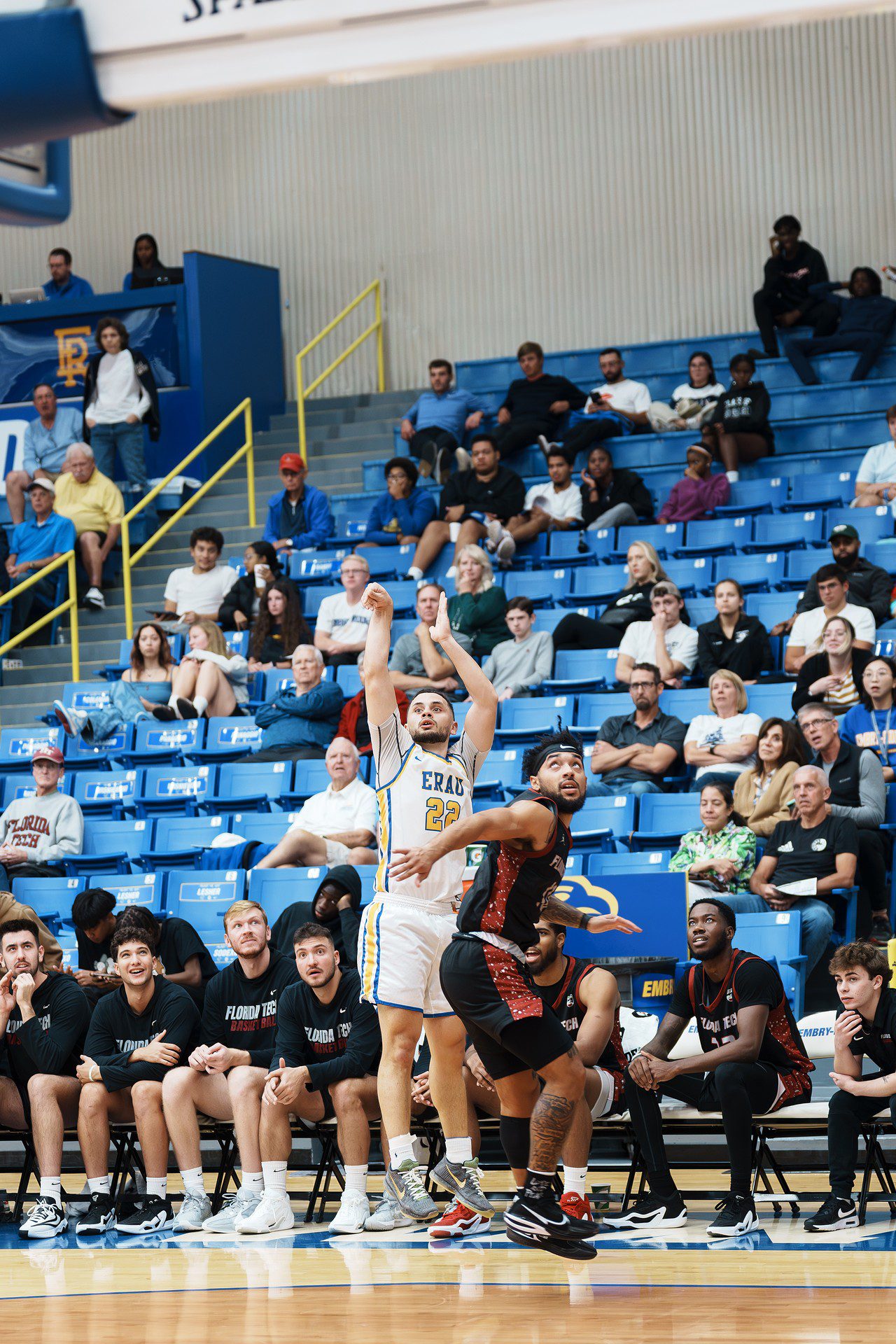 DSC07518-Enhanced-NR.jpg_compressed