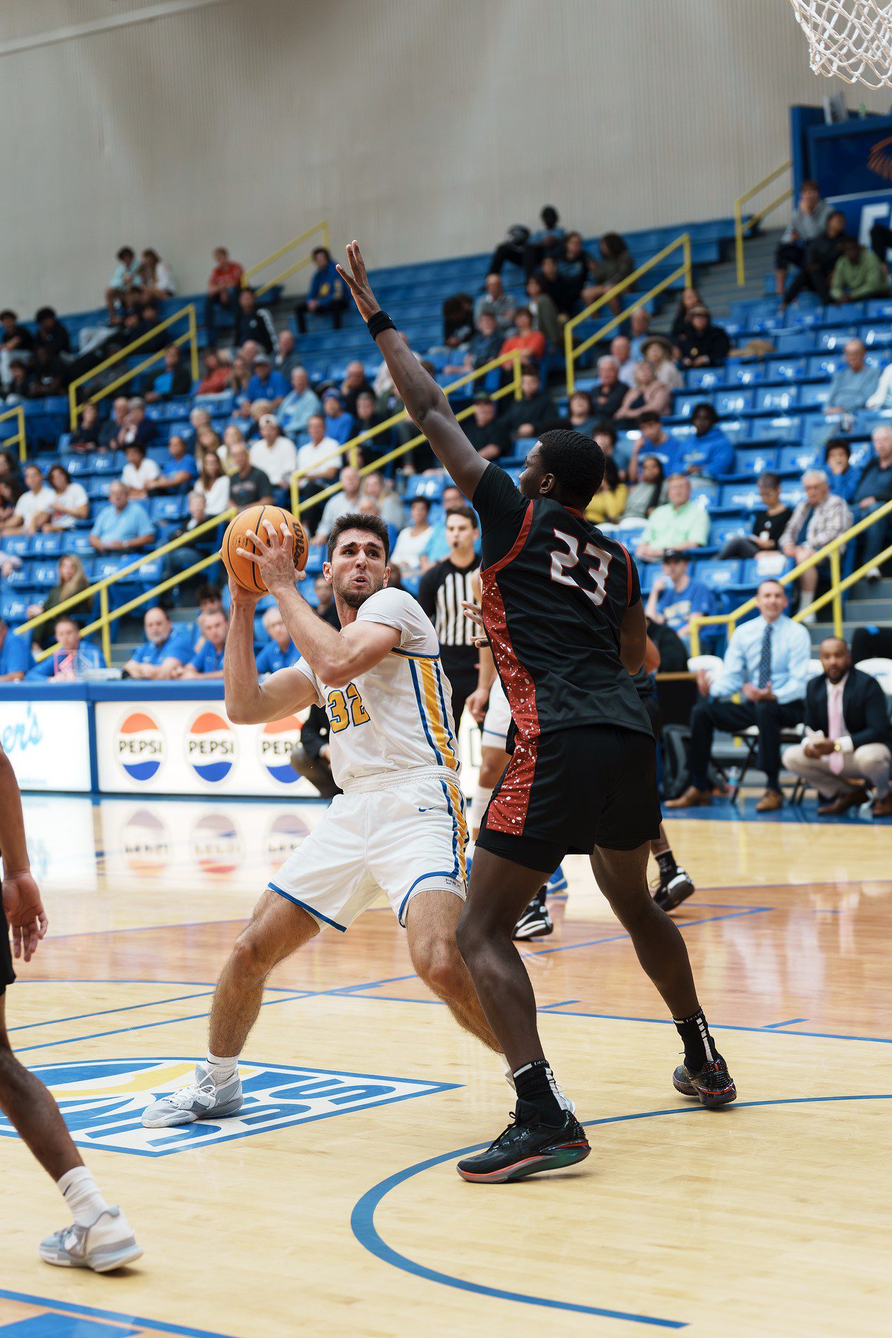 DSC07525-Enhanced-NR.jpg_compressed