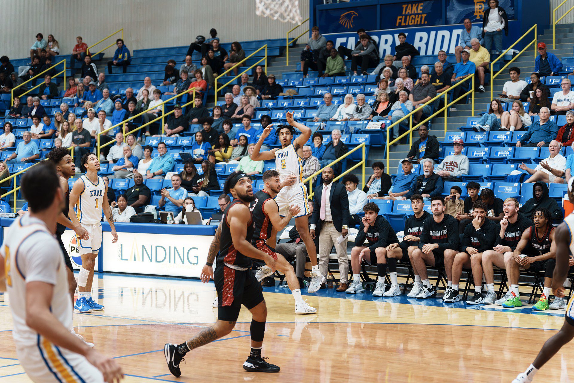 DSC07541-Enhanced-NR.jpg_compressed