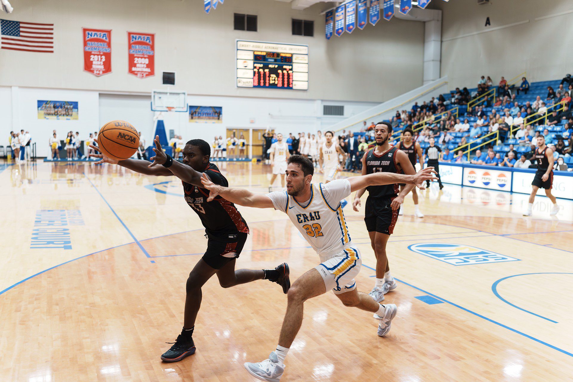 DSC07546-Enhanced-NR.jpg_compressed