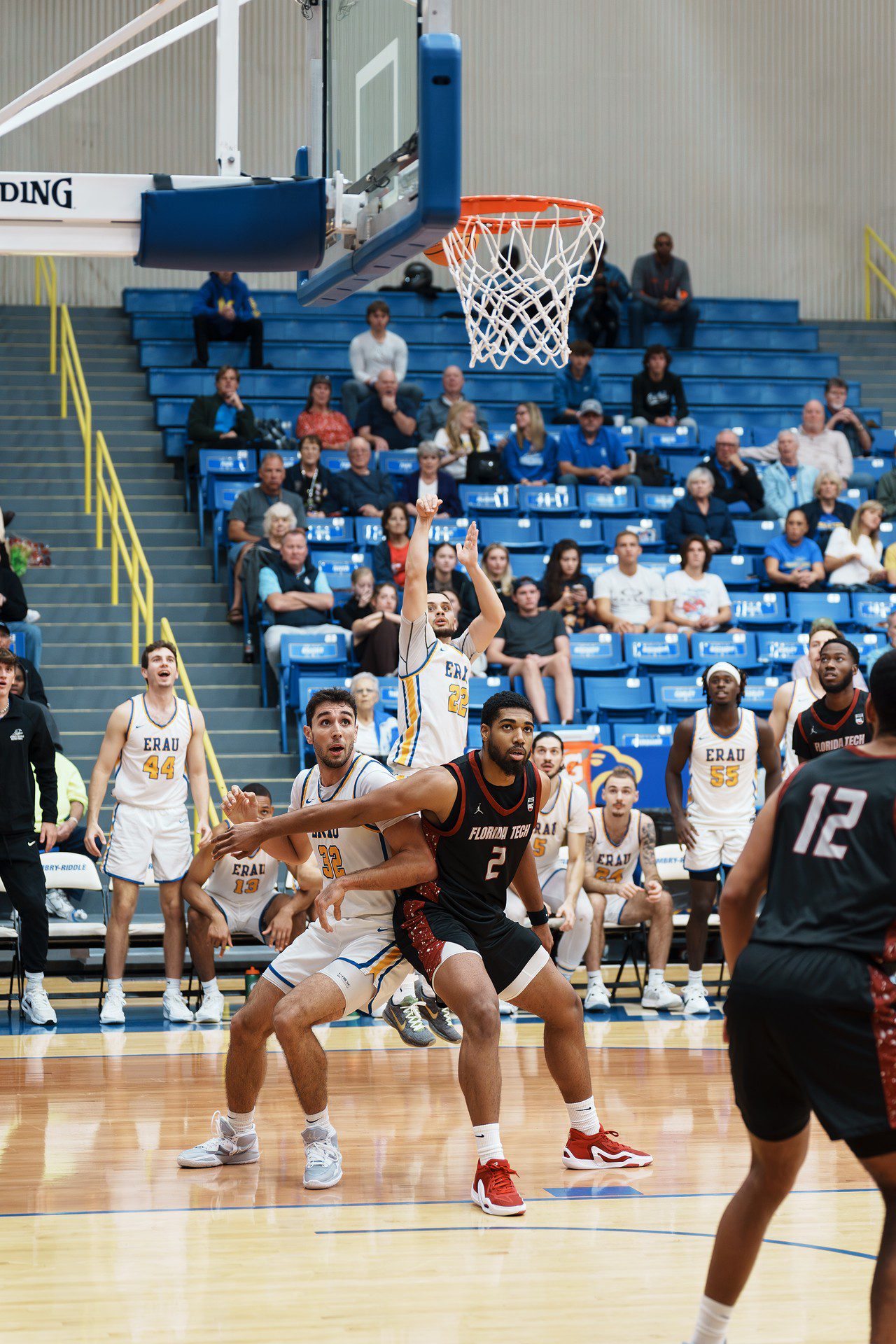 DSC07666-Enhanced-NR.jpg_compressed