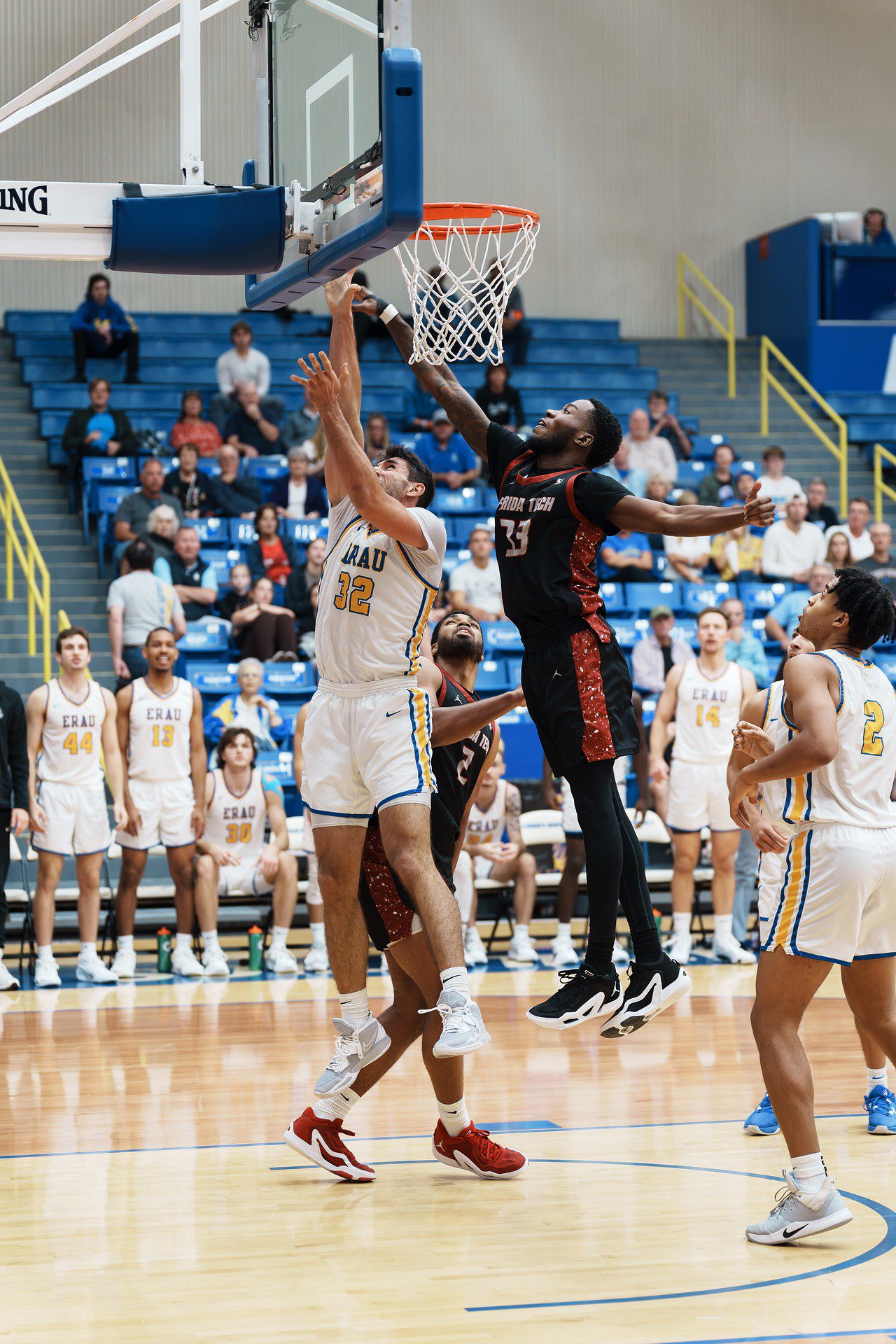 DSC07679-Enhanced-NR.jpg_compressed