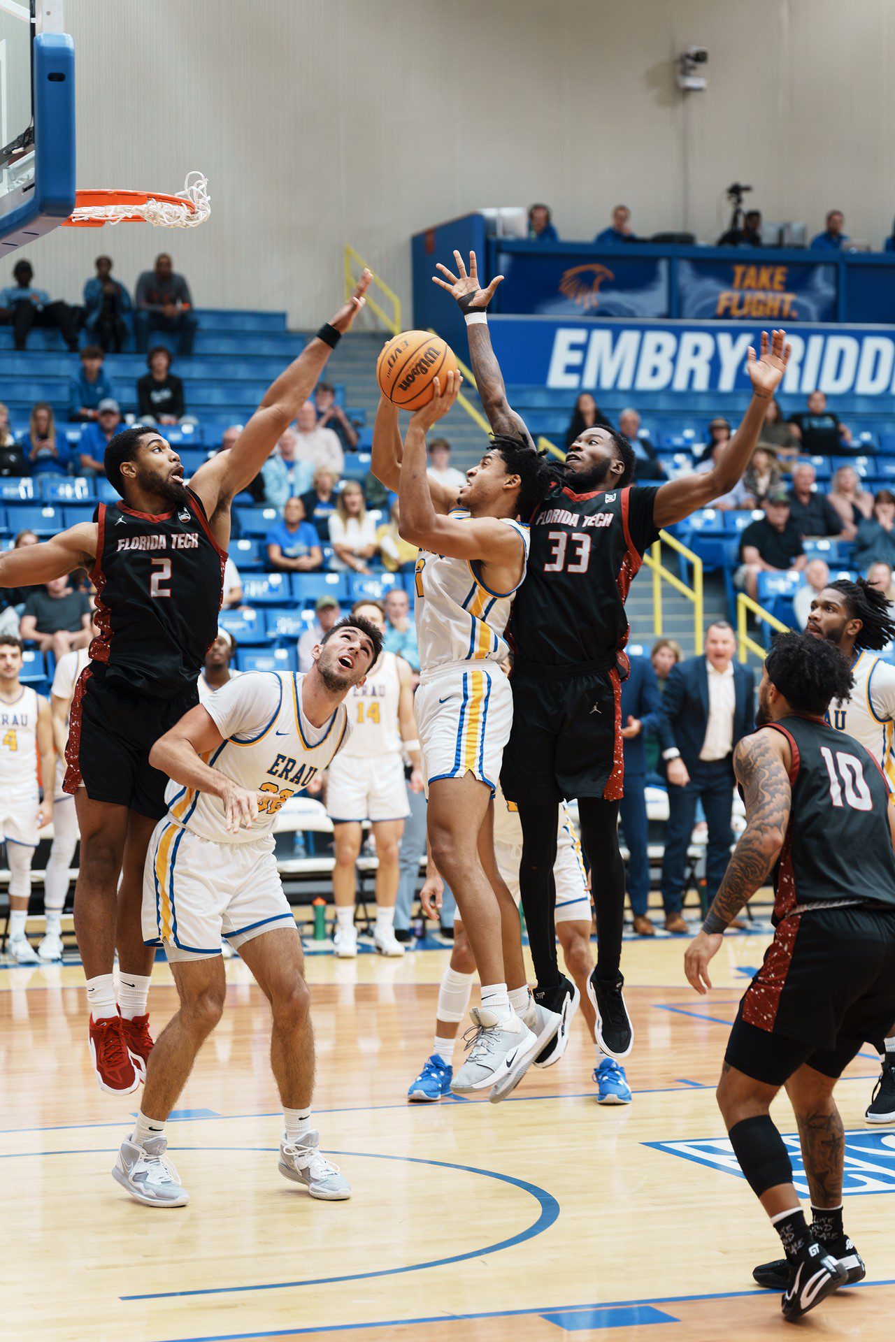 DSC07683-Enhanced-NR.jpg_compressed