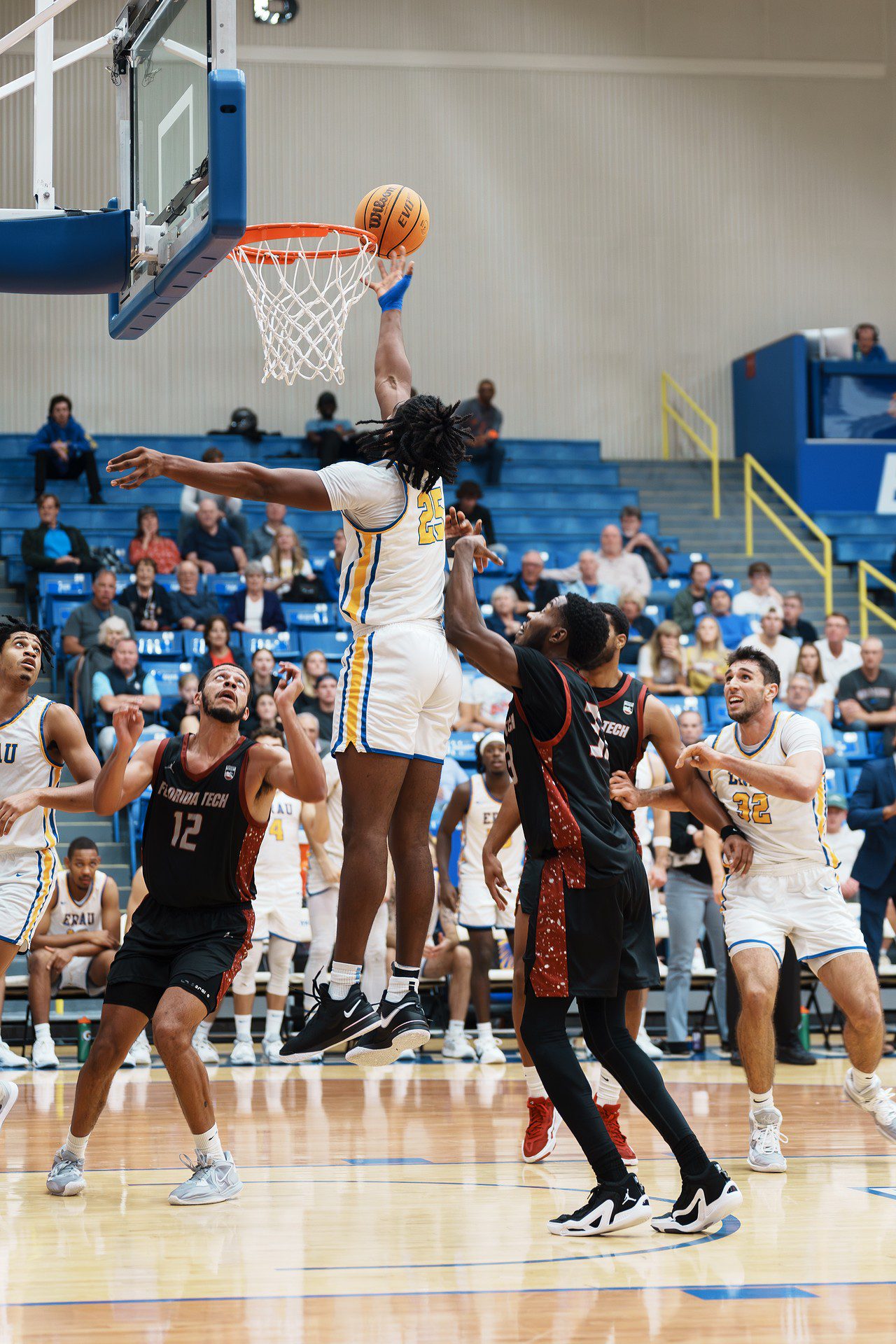 DSC07703-Enhanced-NR.jpg_compressed