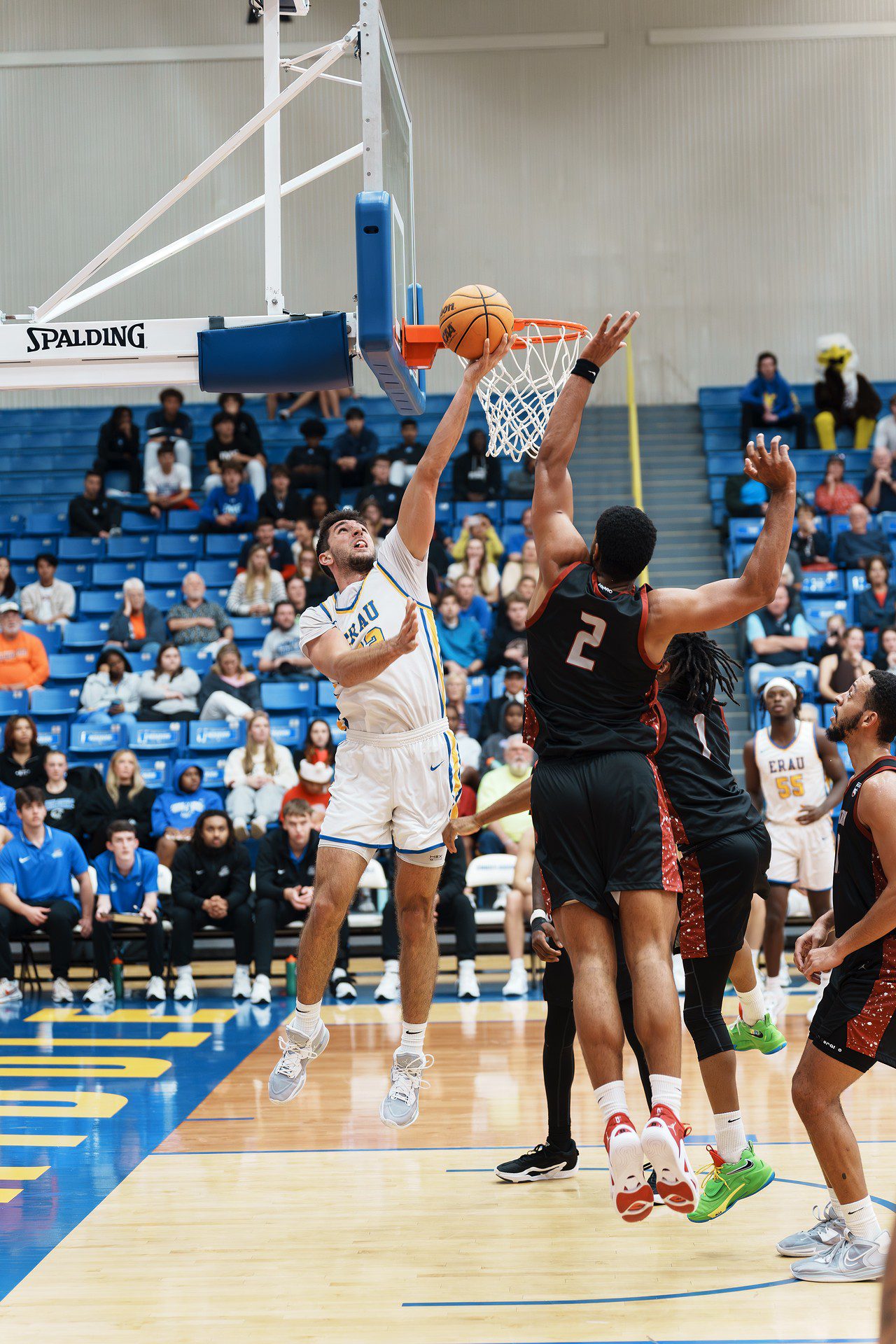 DSC07758-Enhanced-NR.jpg_compressed