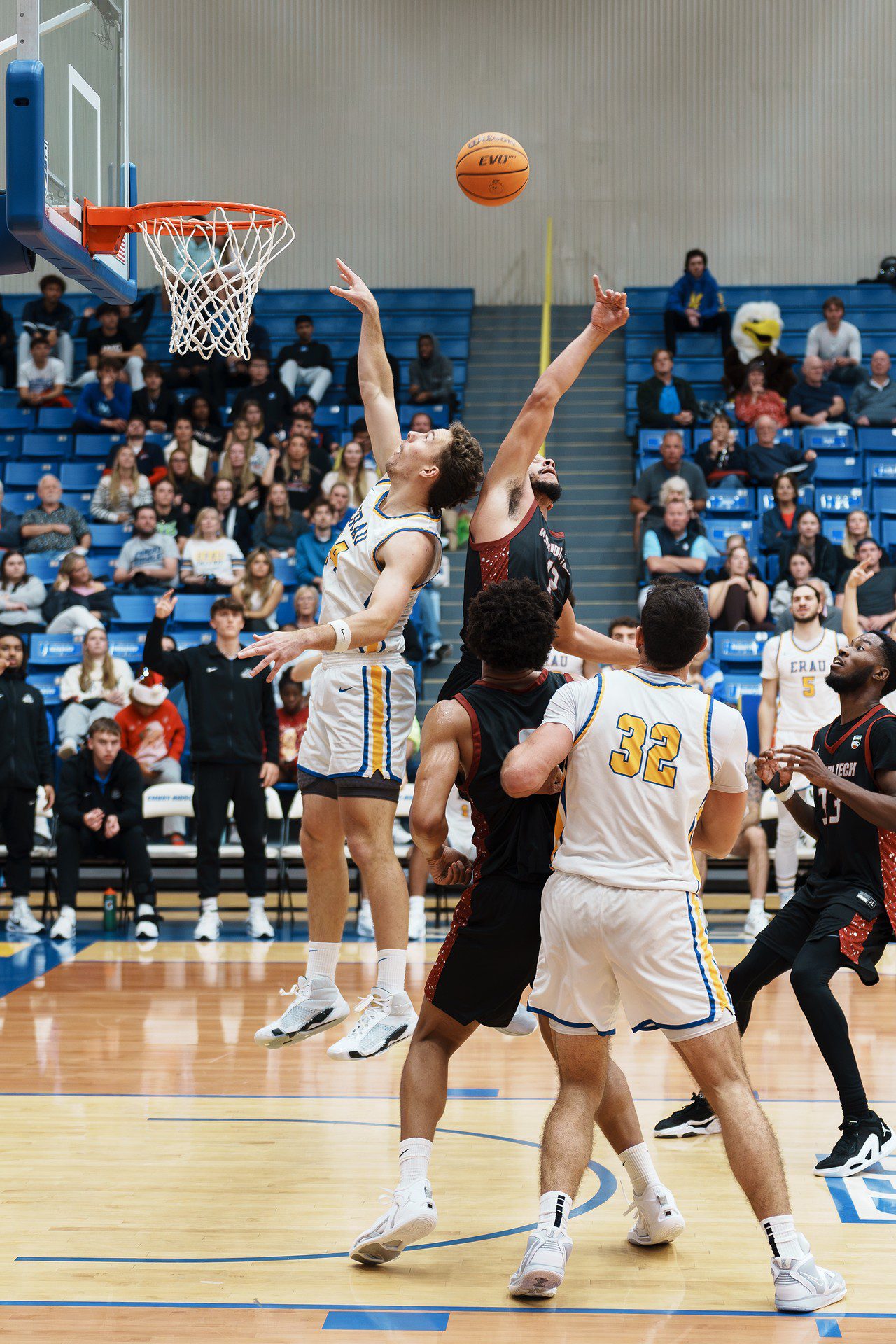 DSC07774-Enhanced-NR.jpg_compressed