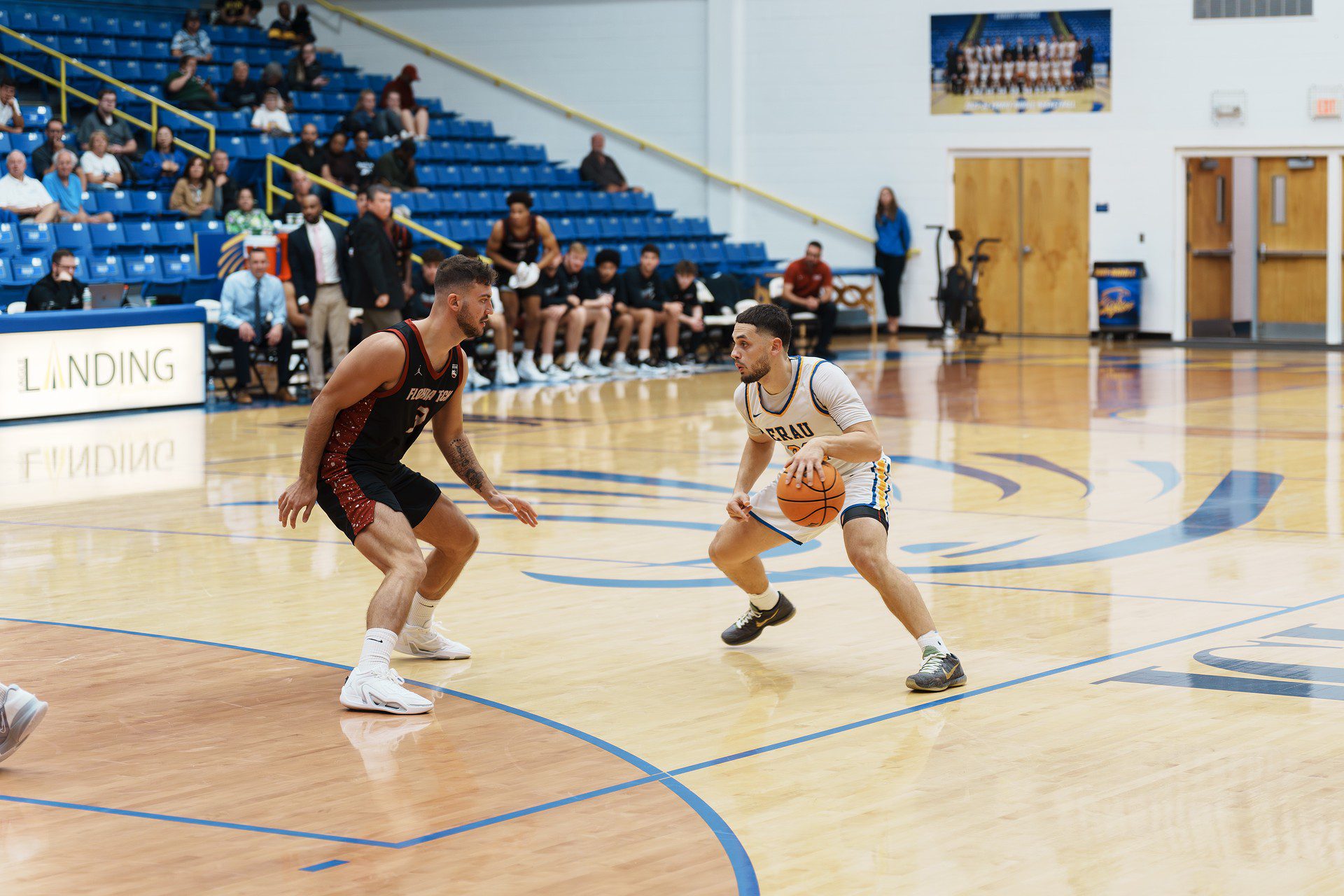 DSC07814-Enhanced-NR.jpg_compressed