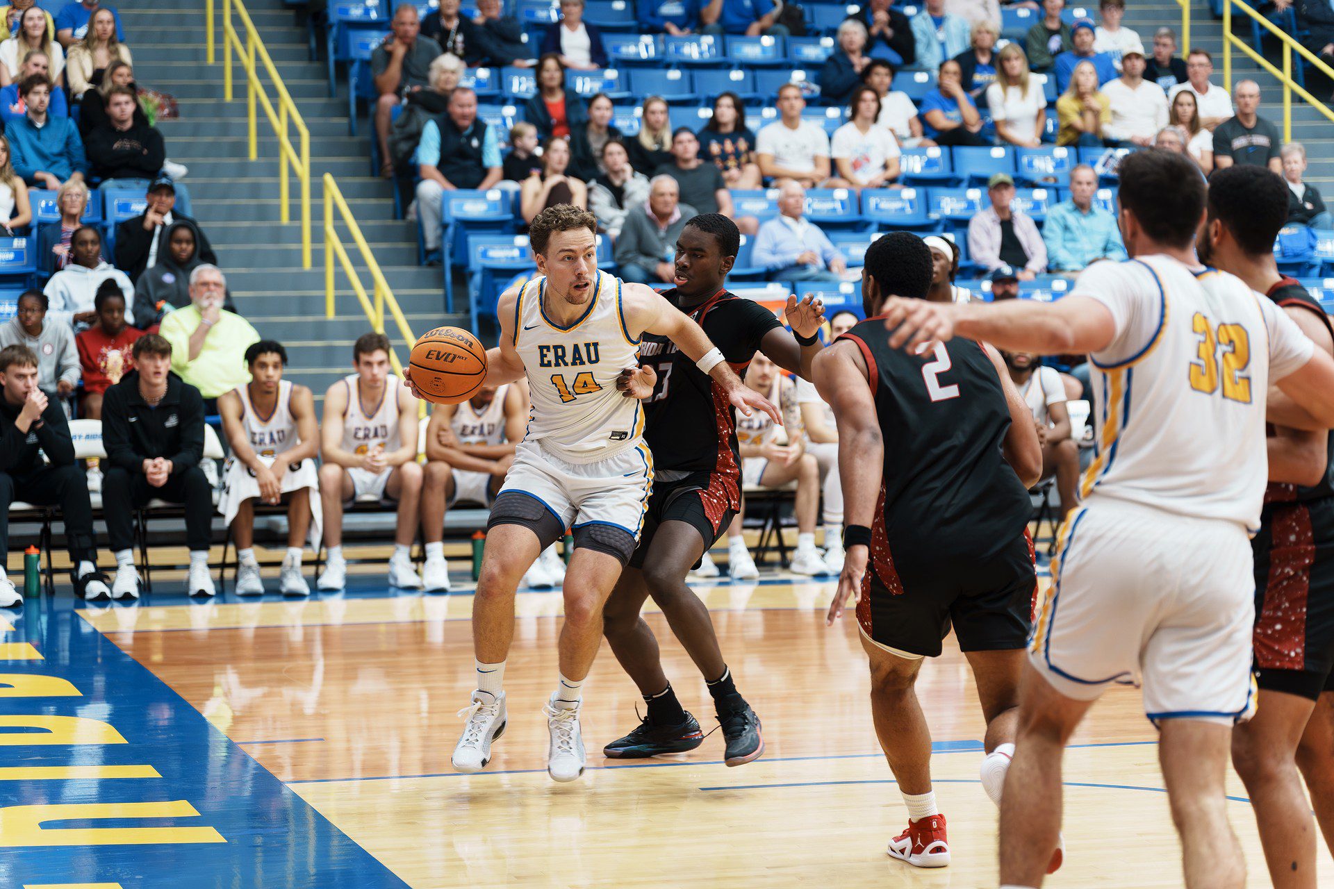 DSC07818-Enhanced-NR.jpg_compressed