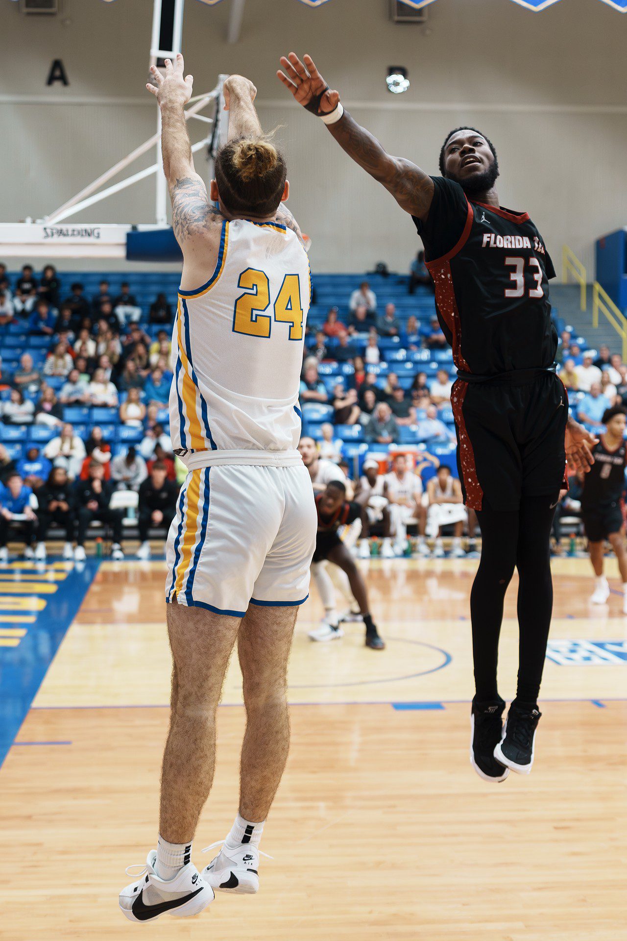 DSC07849-Enhanced-NR.jpg_compressed