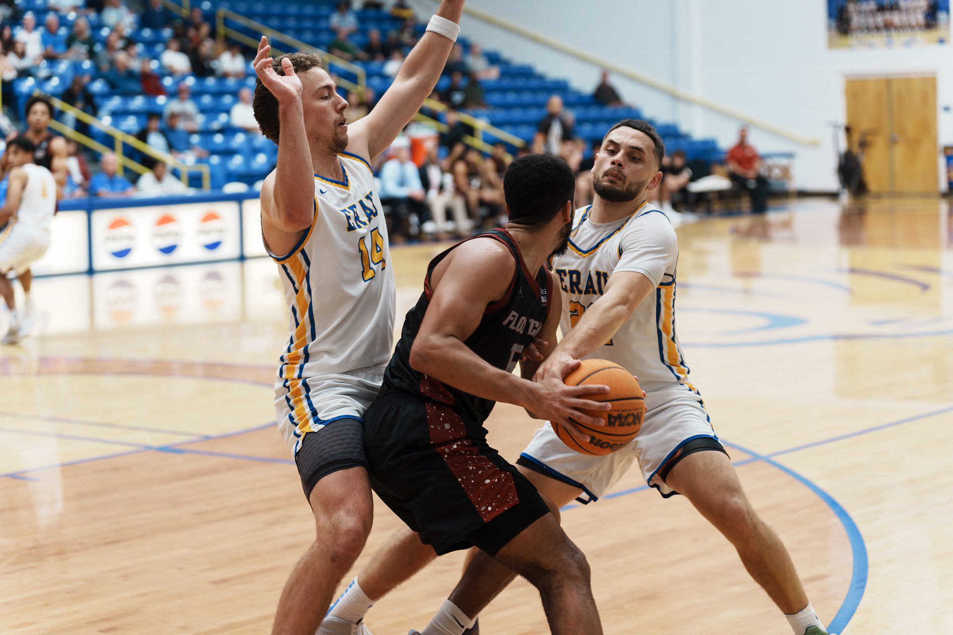 DSC07939-Enhanced-NR.jpg_compressed