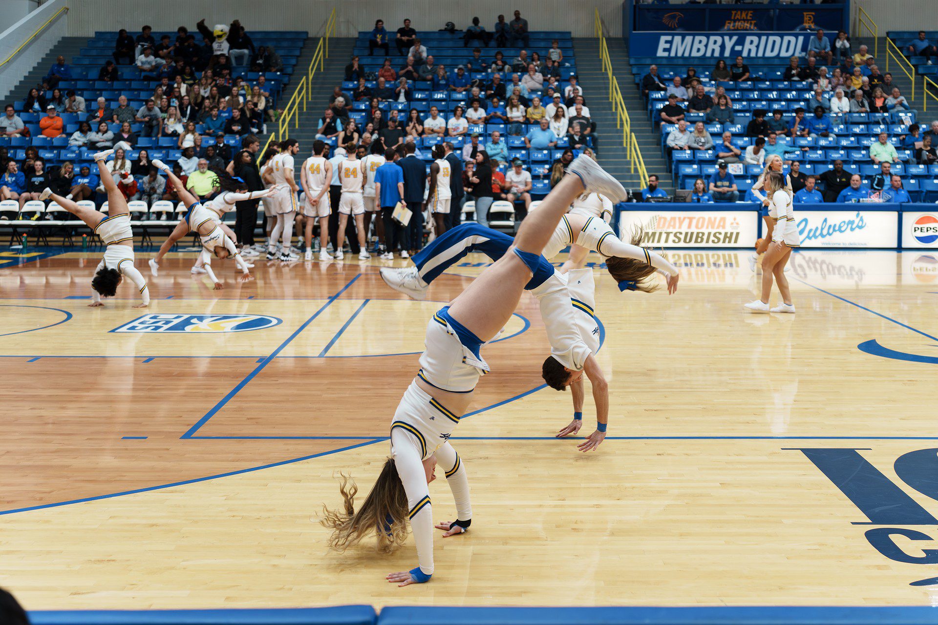 DSC08004-Enhanced-NR.jpg_compressed