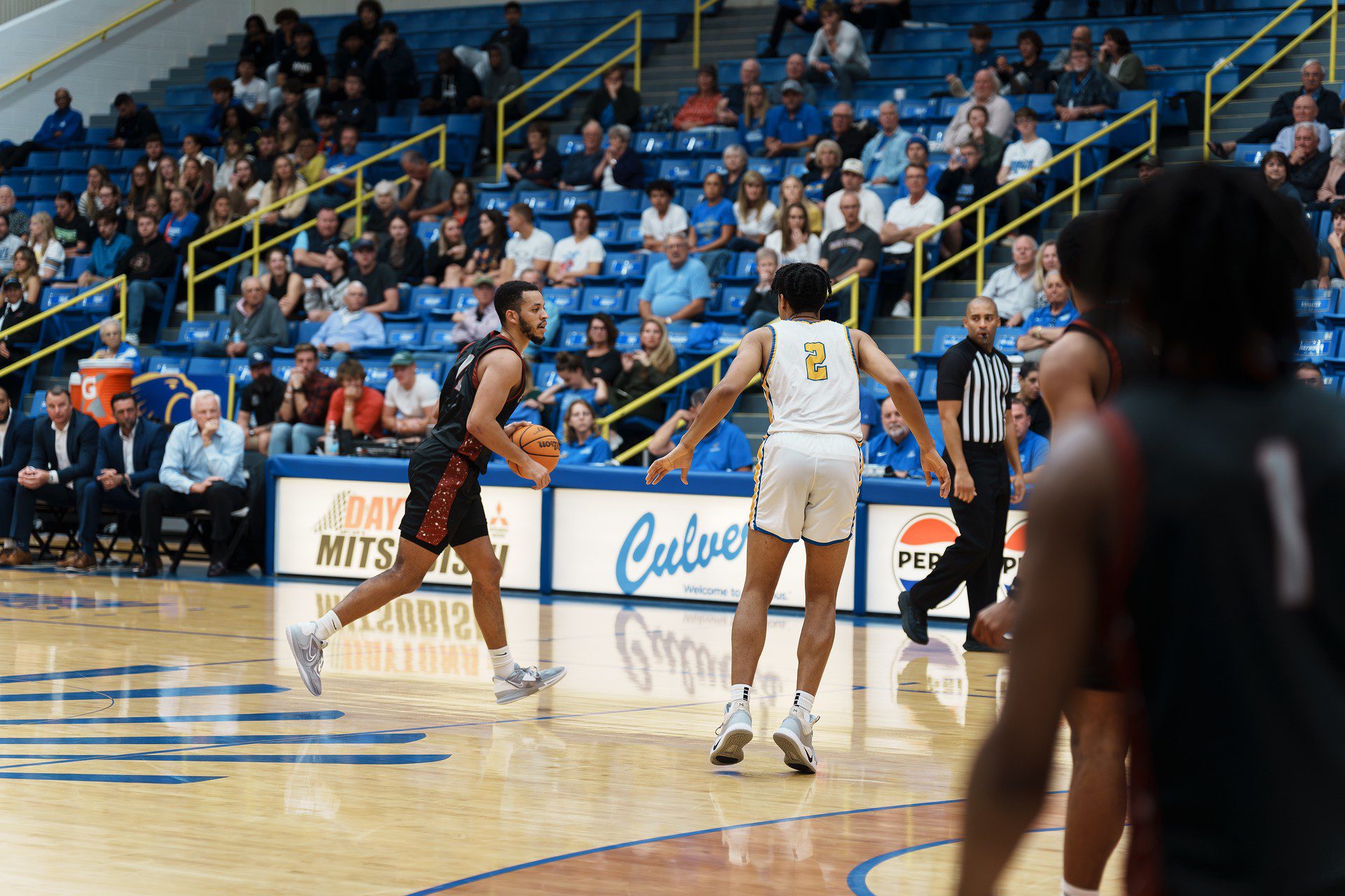 DSC08025-Enhanced-NR.jpg_compressed