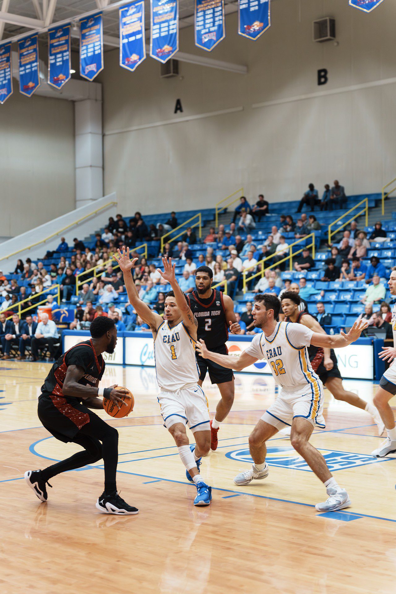 DSC08026-Enhanced-NR.jpg_compressed