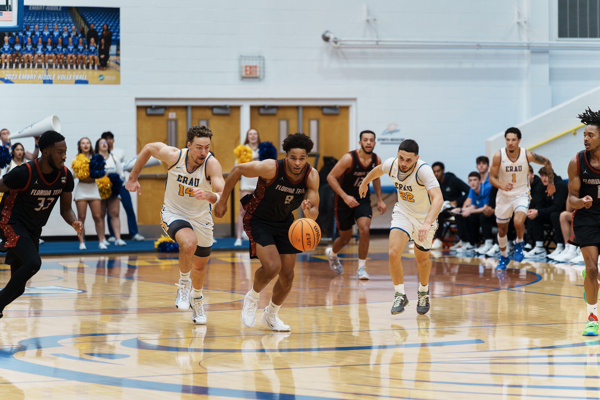 DSC08035-Enhanced-NR.jpg_compressed