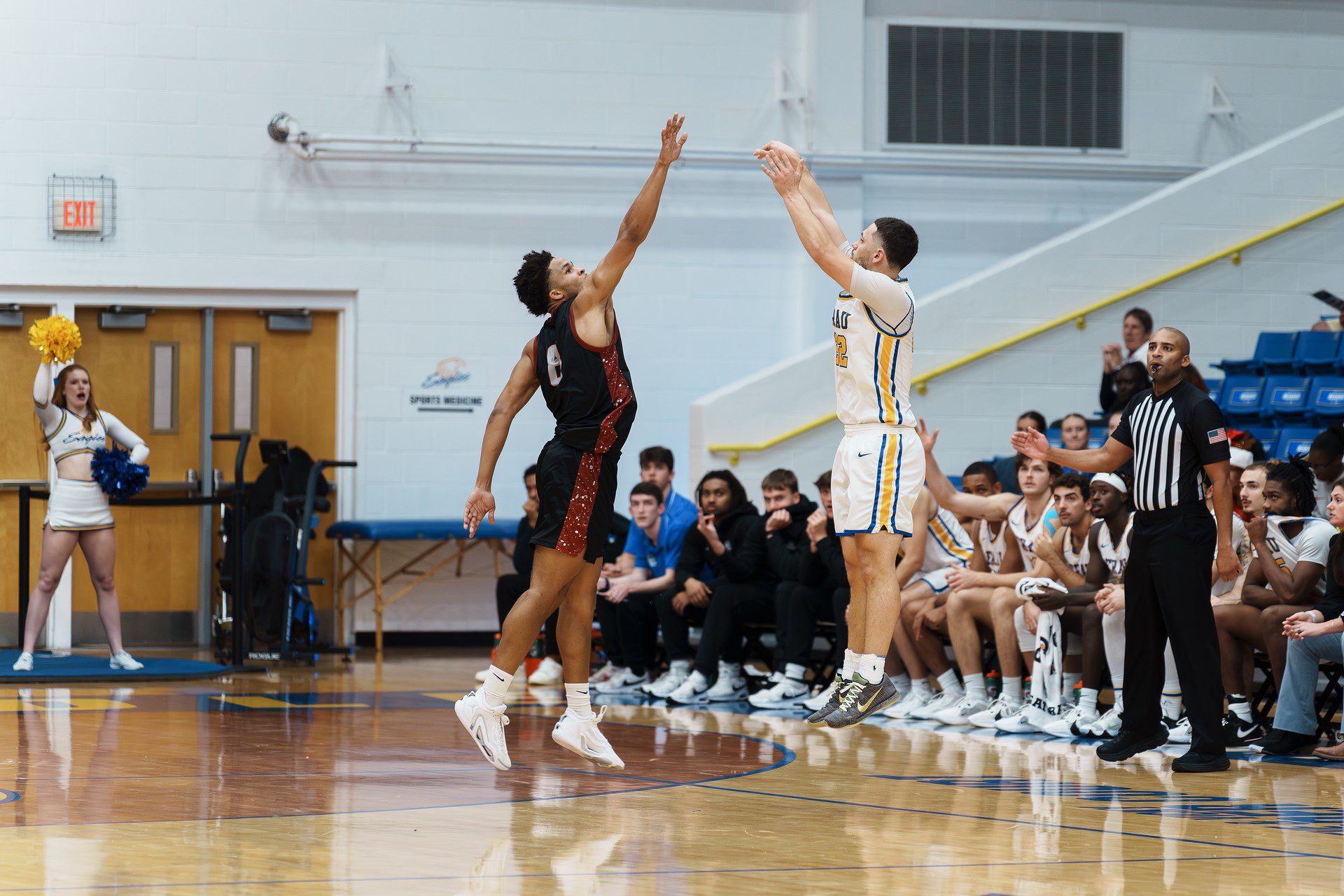 DSC08046-Enhanced-NR.jpg_compressed