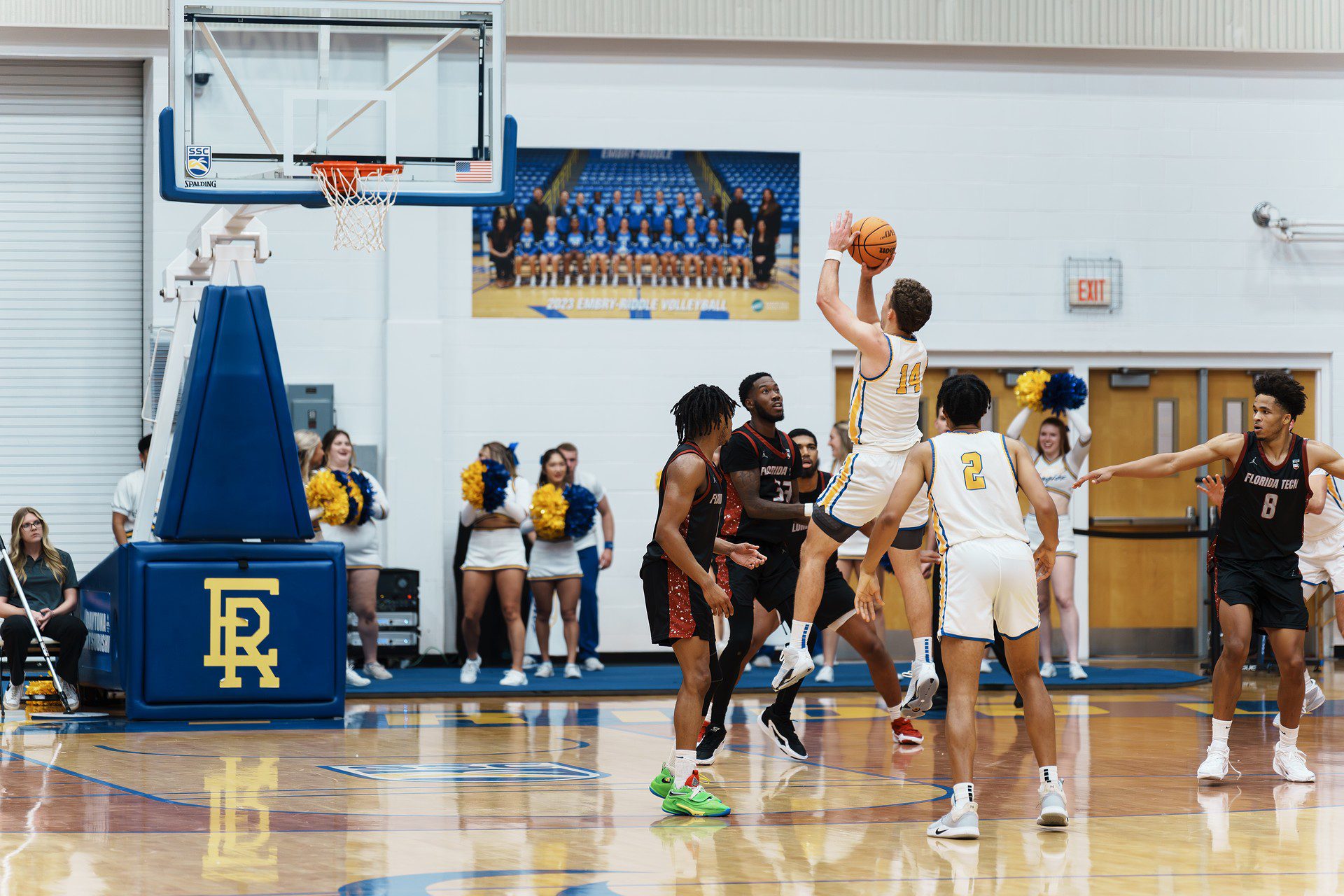 DSC08070-Enhanced-NR.jpg_compressed