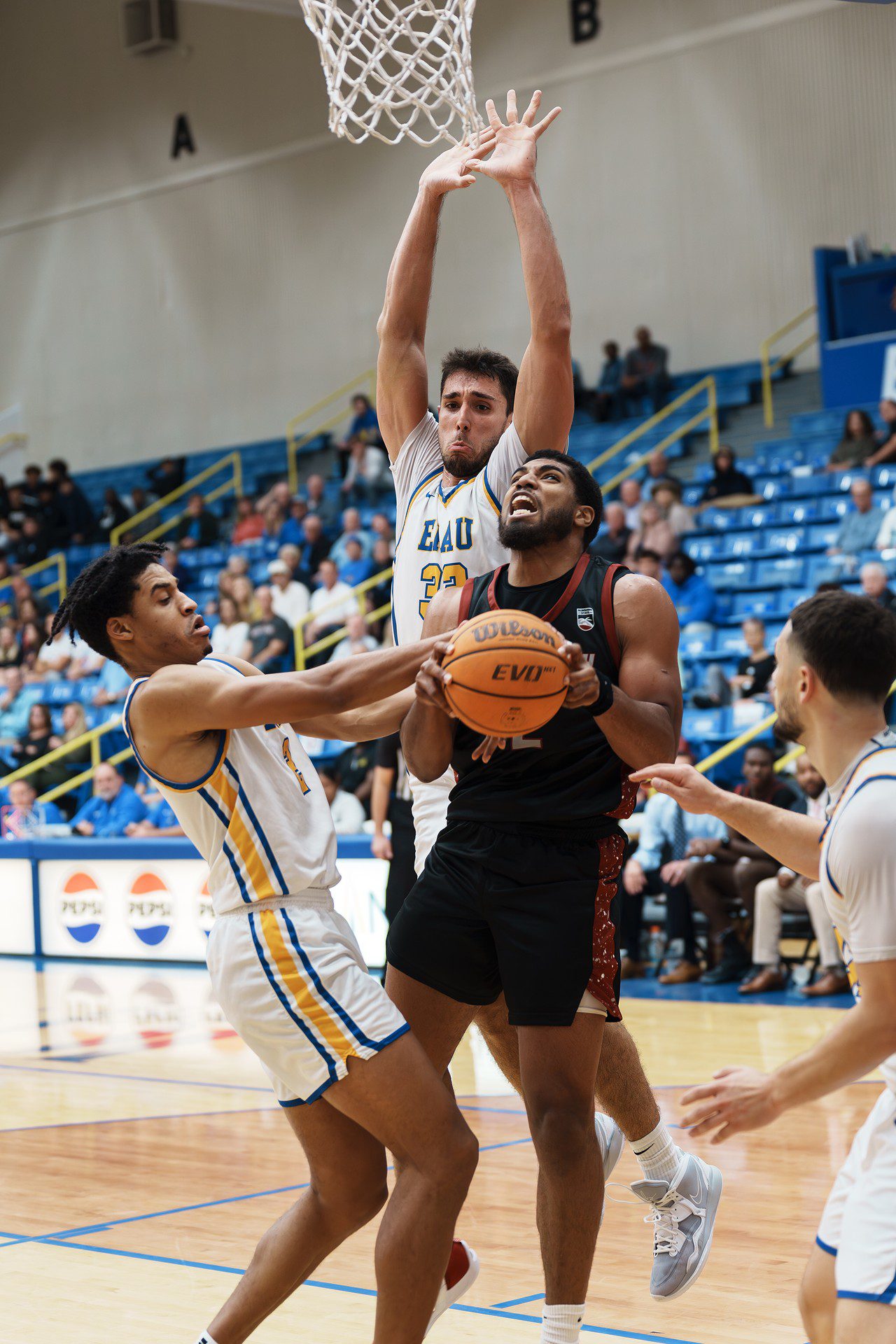 DSC08092-Enhanced-NR.jpg_compressed