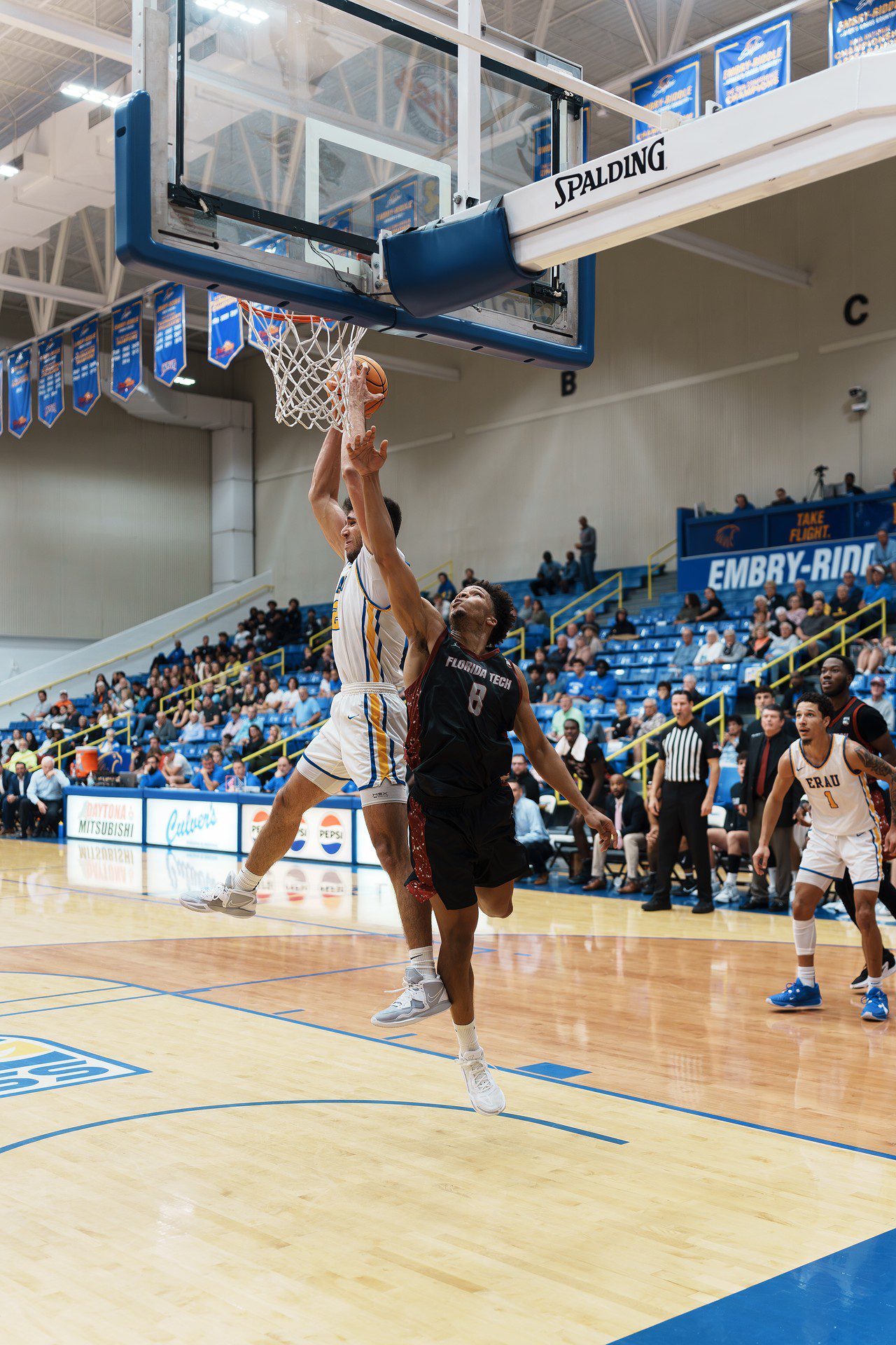 DSC08111-Enhanced-NR.jpg_compressed