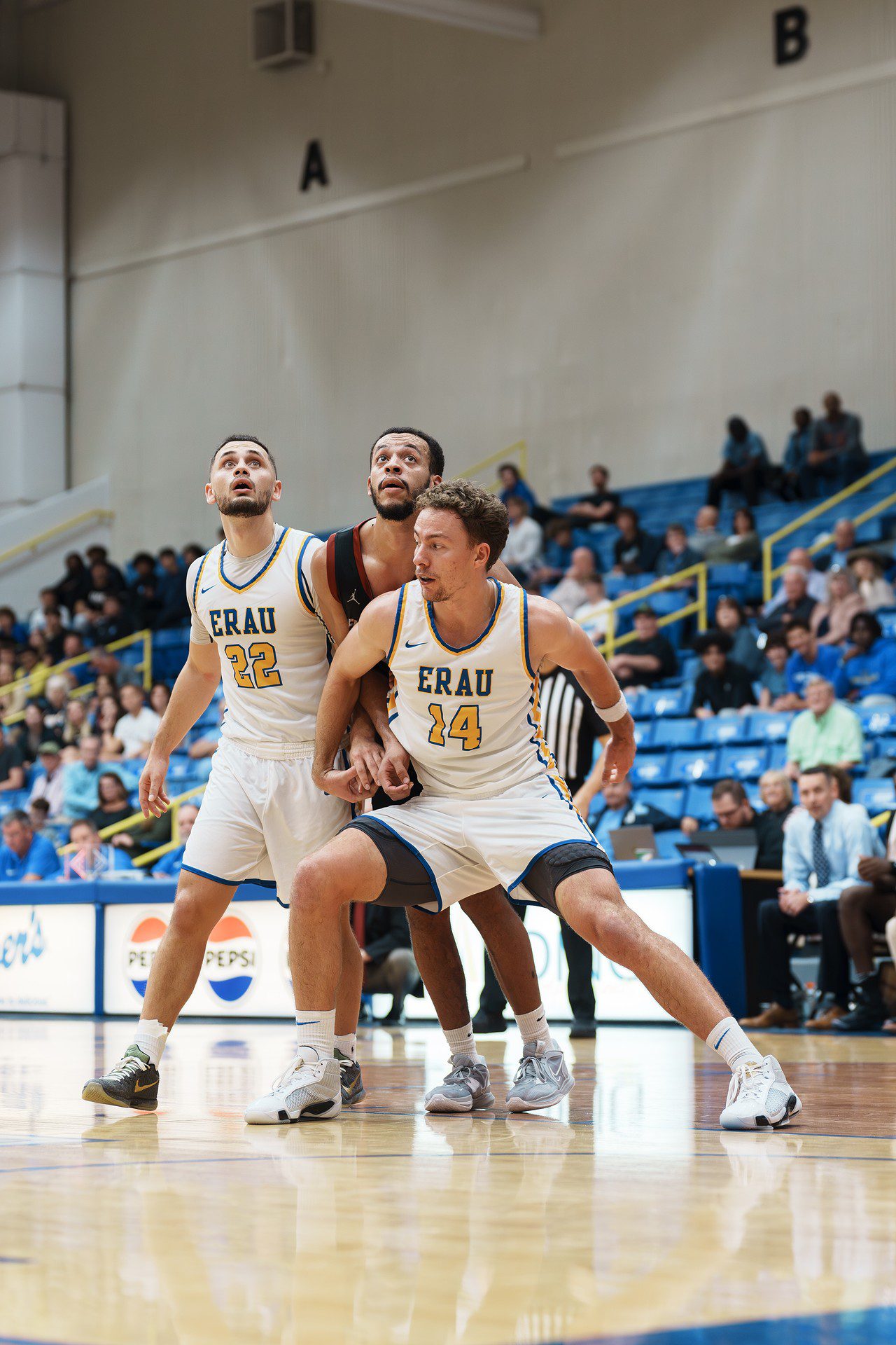 DSC08126-Enhanced-NR.jpg_compressed