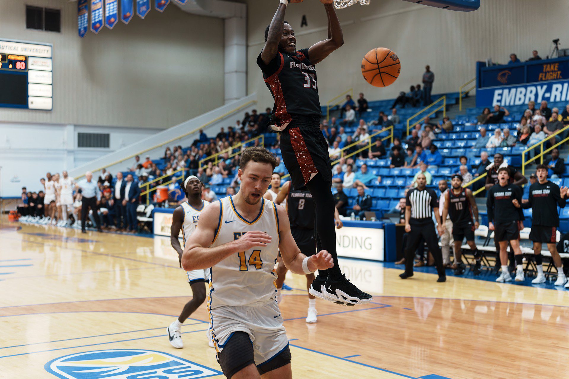 DSC08177-Enhanced-NR.jpg_compressed