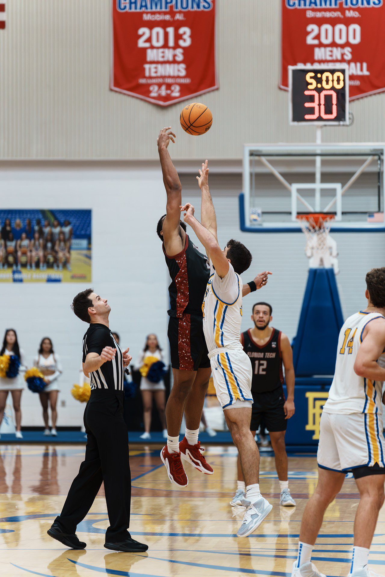 DSC08216-Enhanced-NR.jpg_compressed