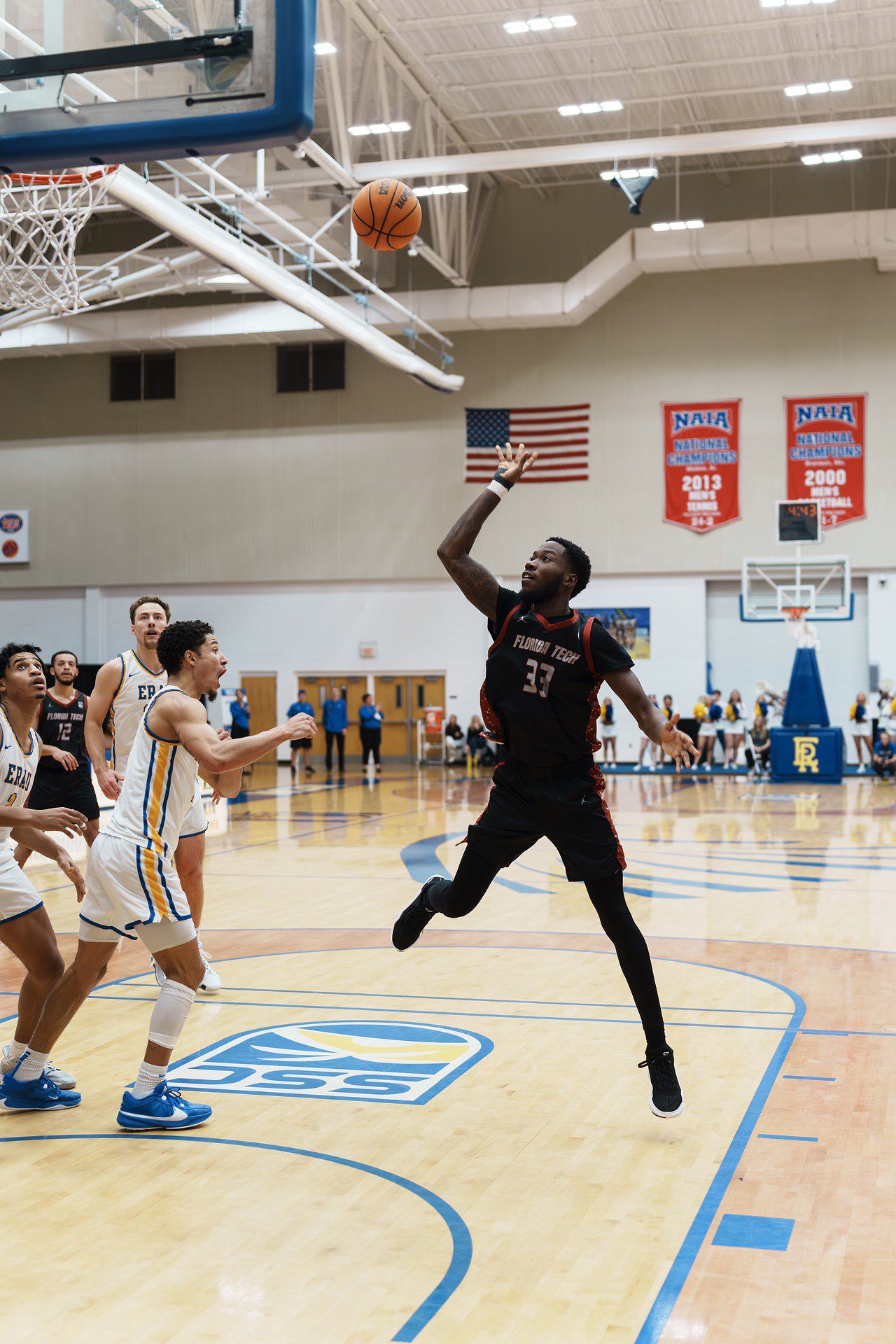 DSC08221-Enhanced-NR.jpg_compressed