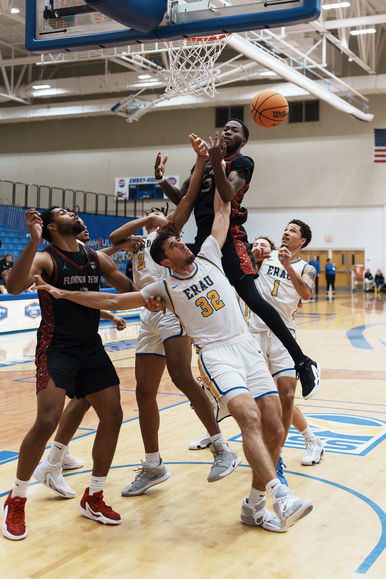 DSC08224-Enhanced-NR.jpg_compressed