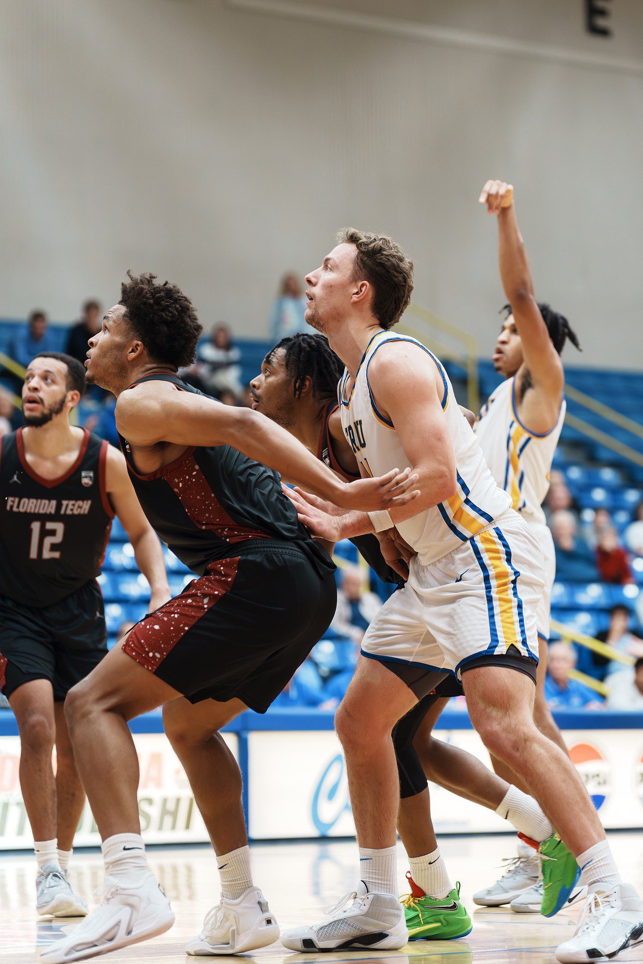 DSC08273-Enhanced-NR.jpg_compressed