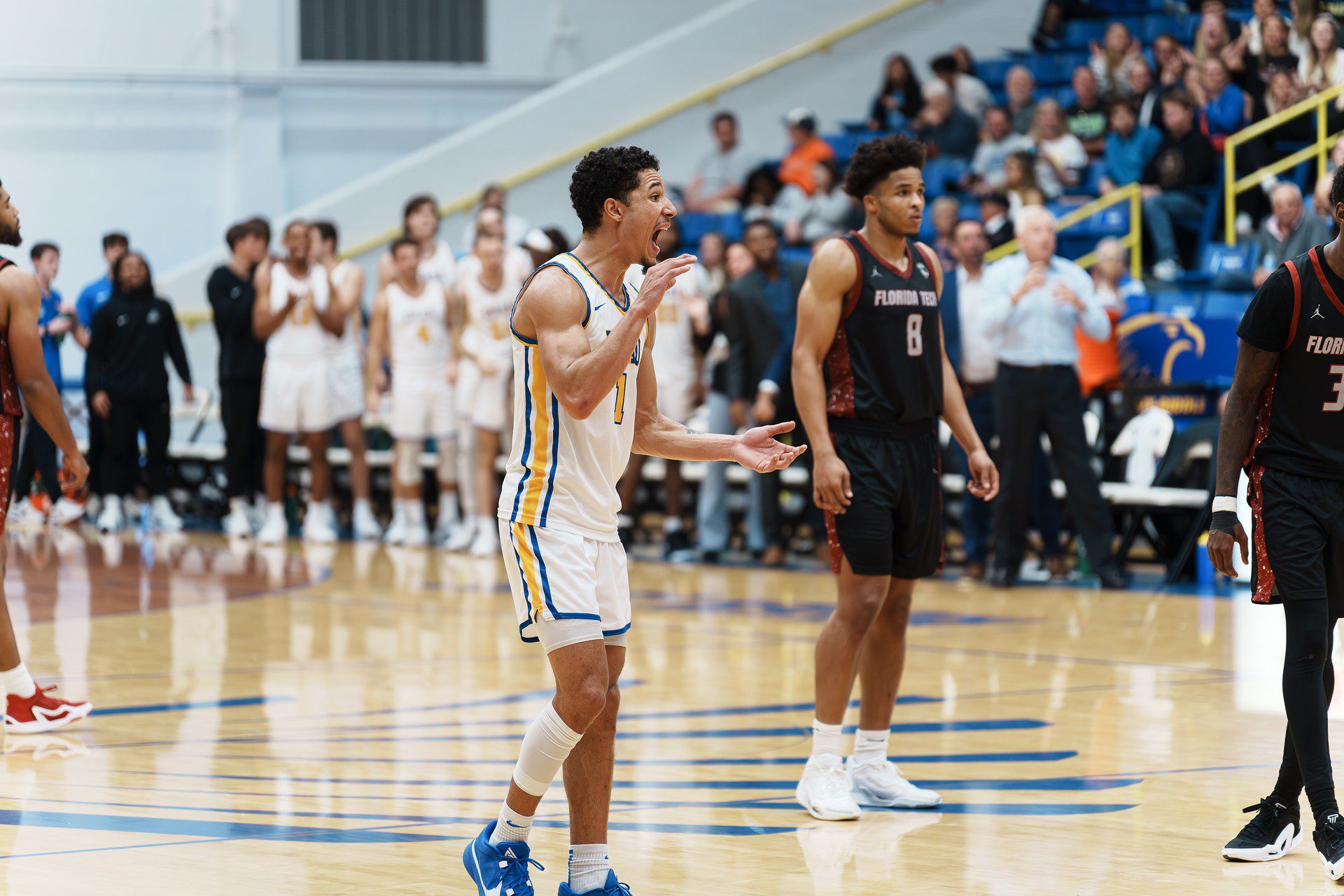 DSC08295-Enhanced-NR.jpg_compressed