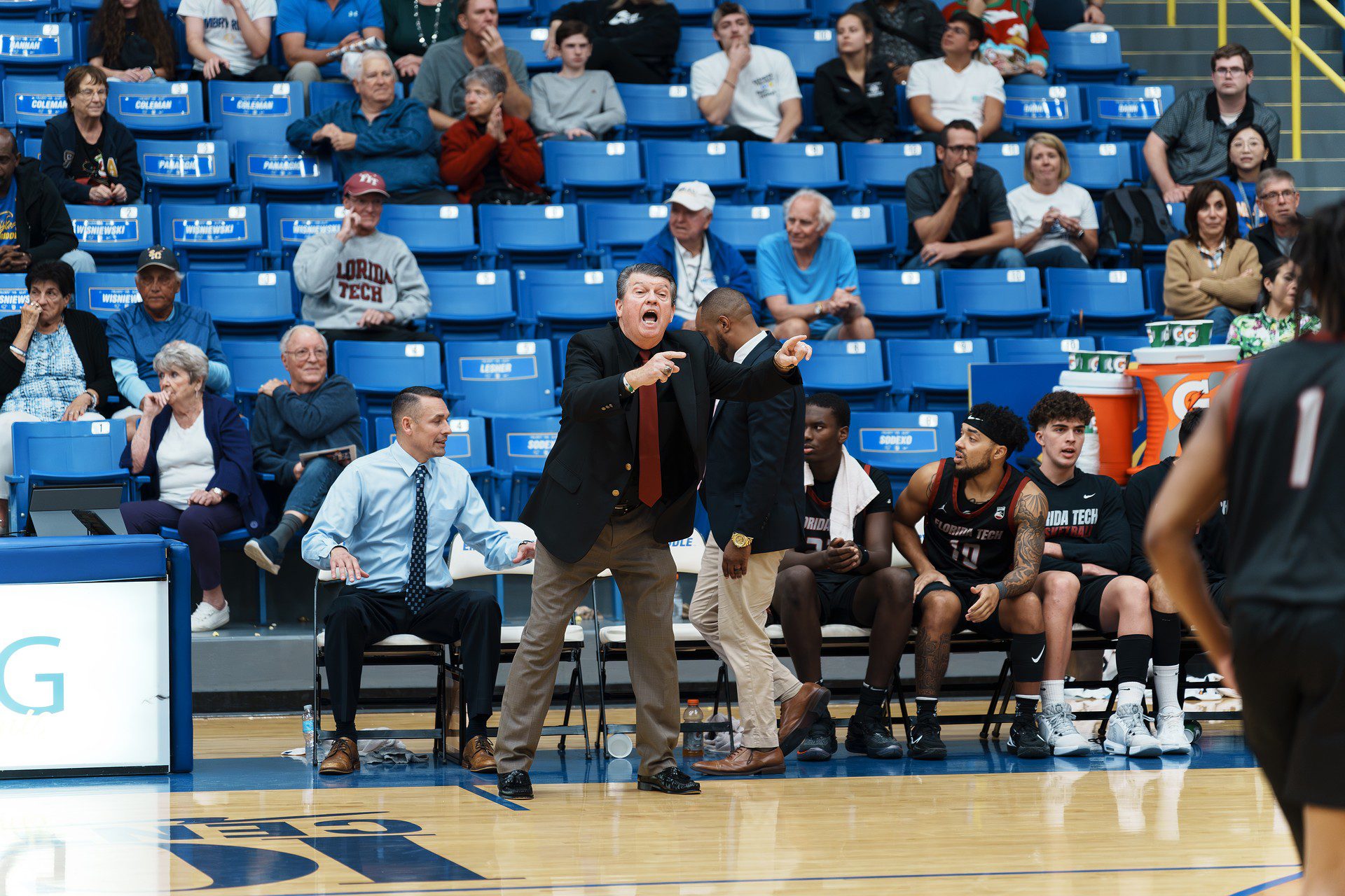 DSC08316-Enhanced-NR.jpg_compressed