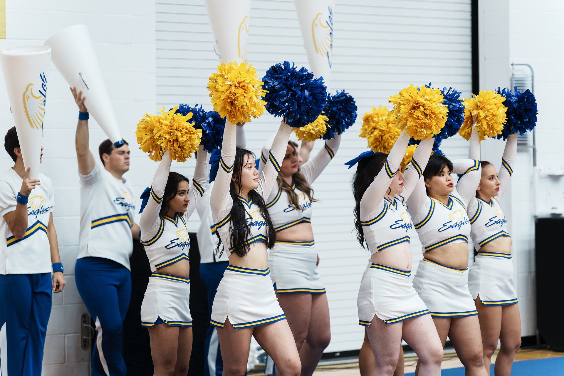 DSC08331-Enhanced-NR.jpg_compressed