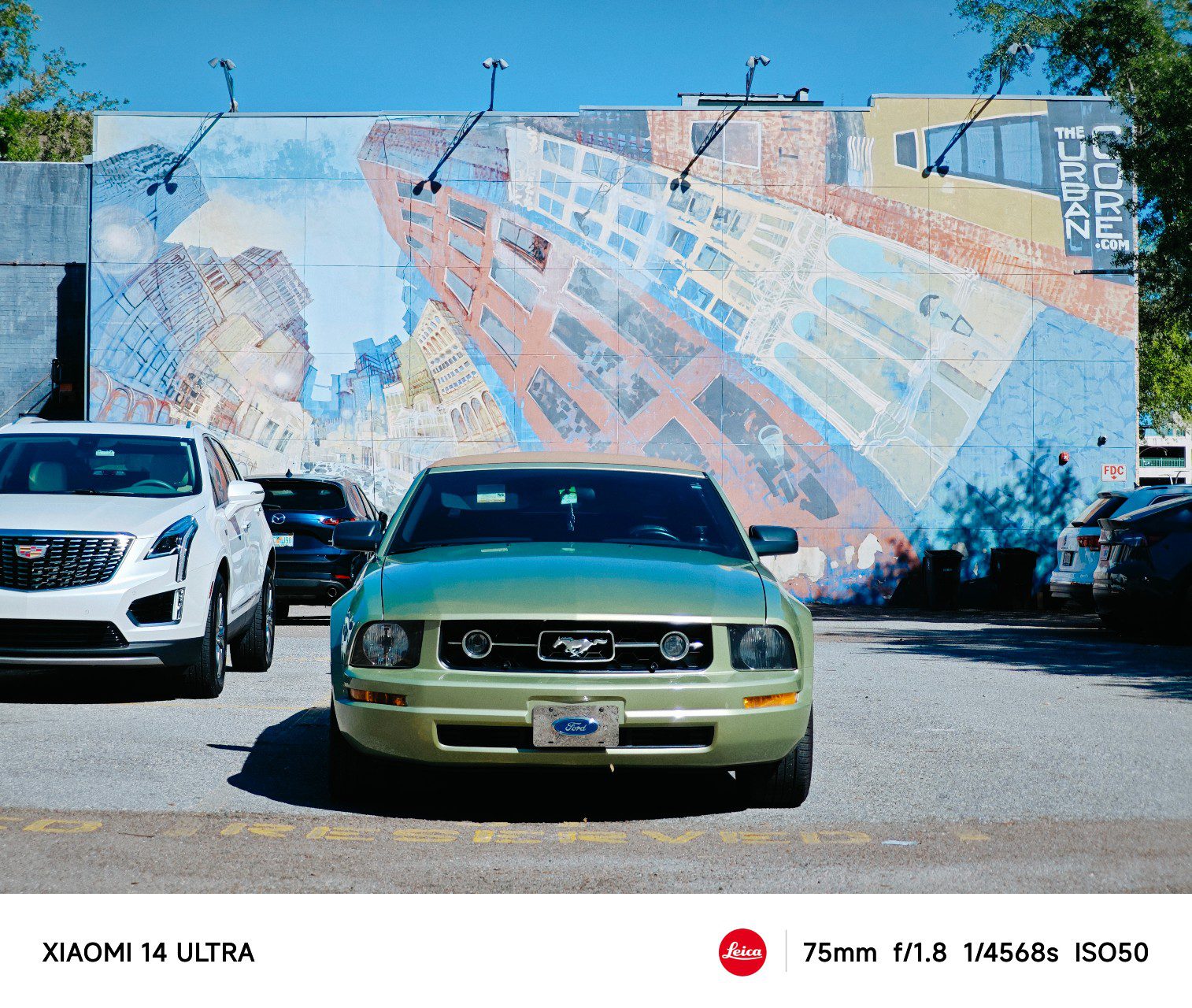 IMG 20240404 163253.jpg compressed