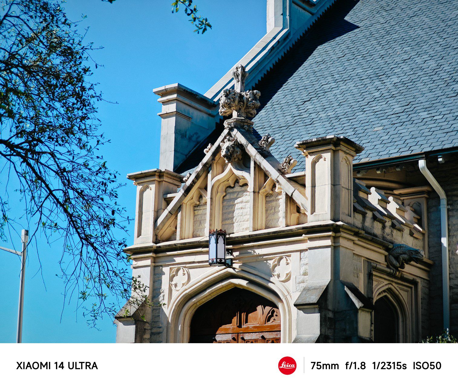 IMG 20240404 170251.jpg compressed